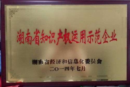 湖南省知識(shí)產(chǎn)權(quán)運(yùn)用示范企業(yè)